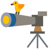 BIRD WATCHING DECK
