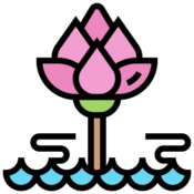 Lotus Pond 