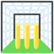 CRICKET PRACTICE PITCH