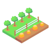 Rainwater harvesting 
