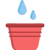 Rainwater Harvesting Pits